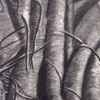 Charcoal study of tree with aerial roots