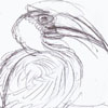 zoo drawings