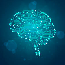 brain circuit
